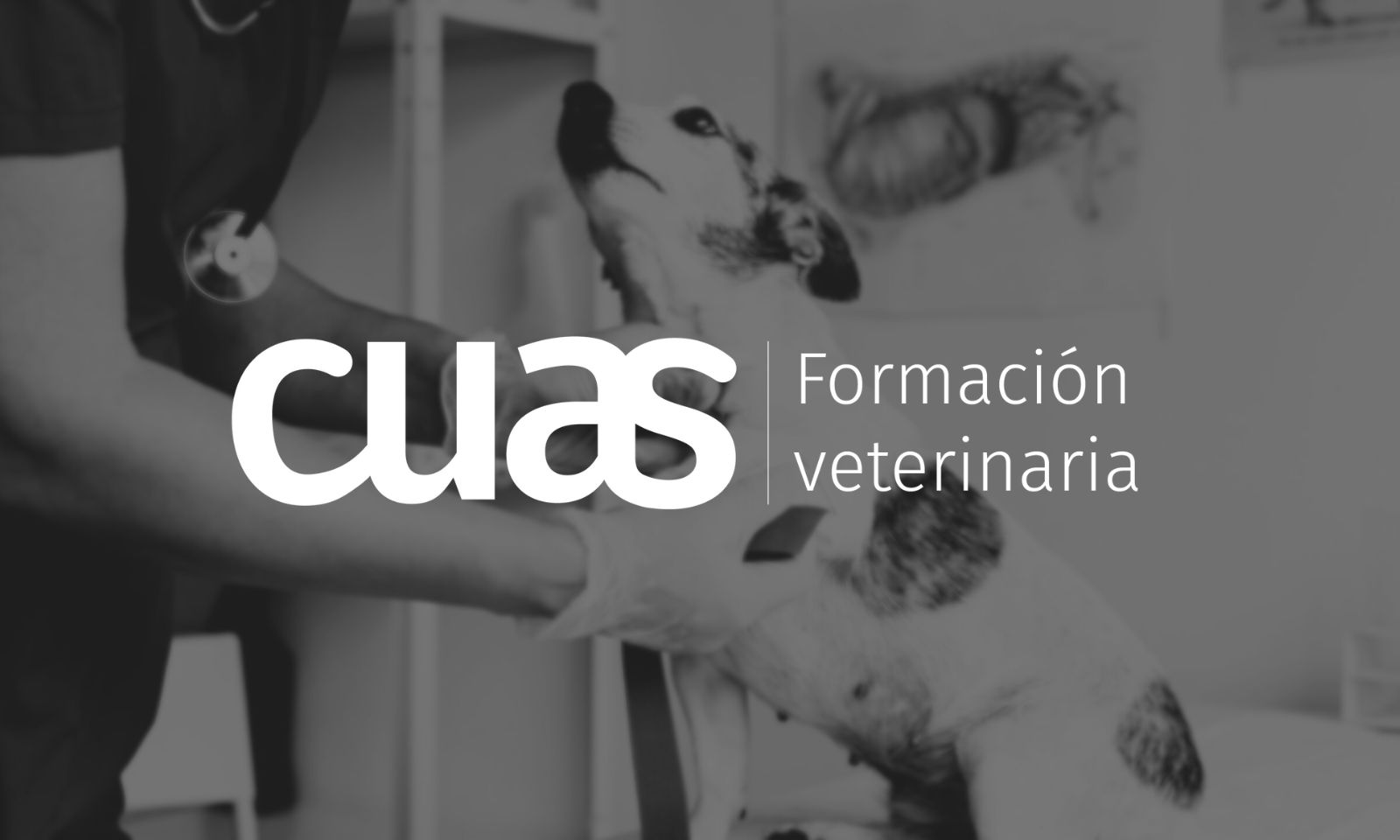 opiniones sobre Cuas Veterinaria