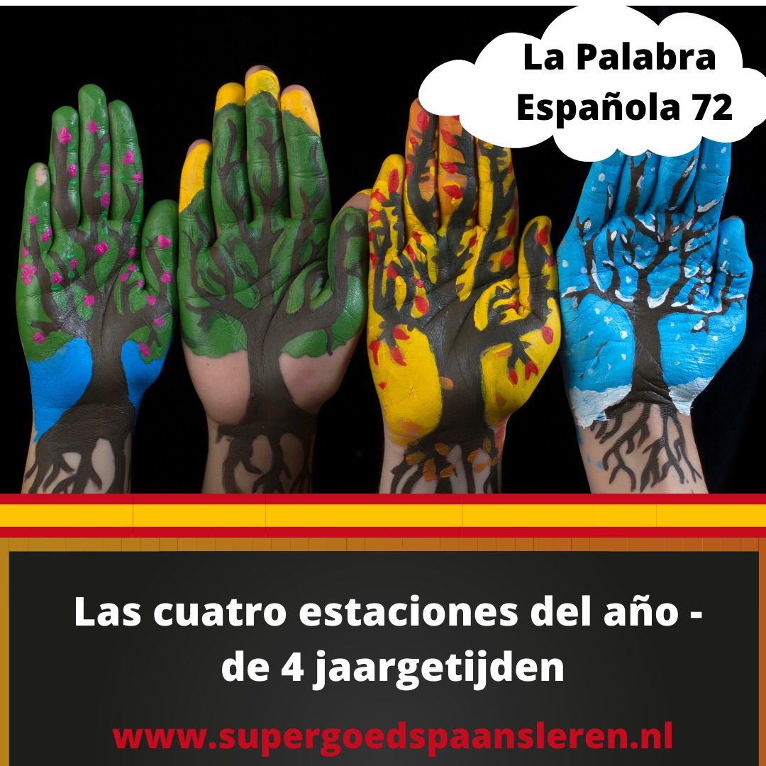 opiniones sobre Supergoed Spaans Leren