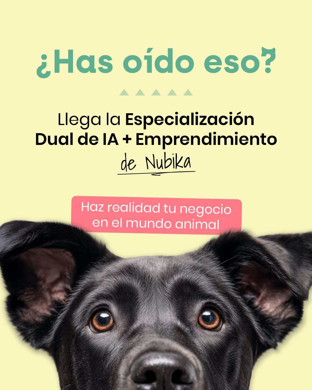 opiniones sobre Nubika