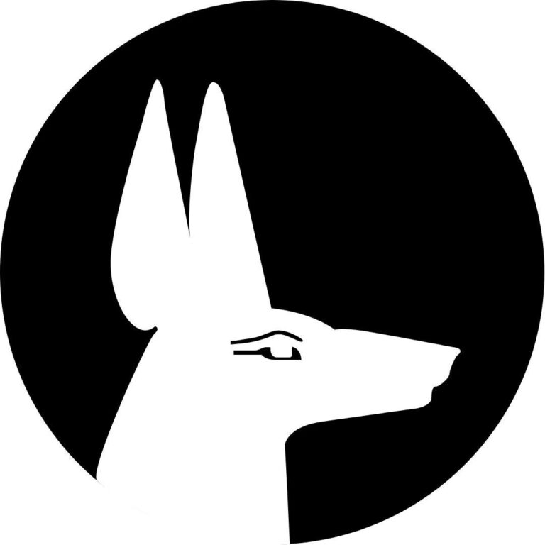 opiniones sobre Anubis